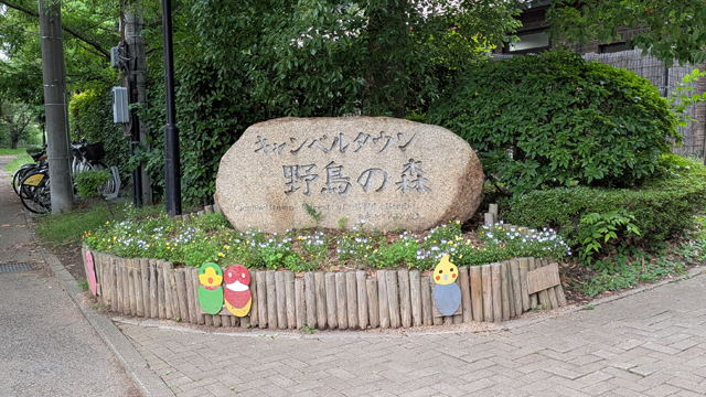キャンベルタウン野鳥の森