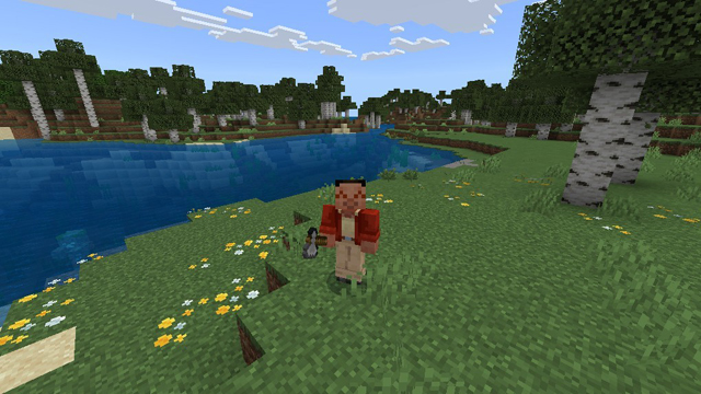 mineclaft basic