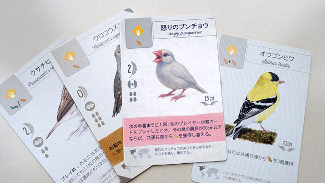 ウイングスパン 文鳥